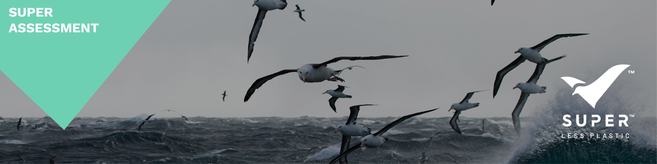 Super assessment header image